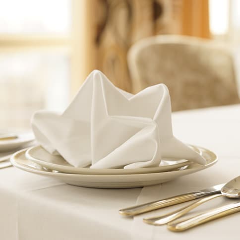 A folded satin napkin on a plate